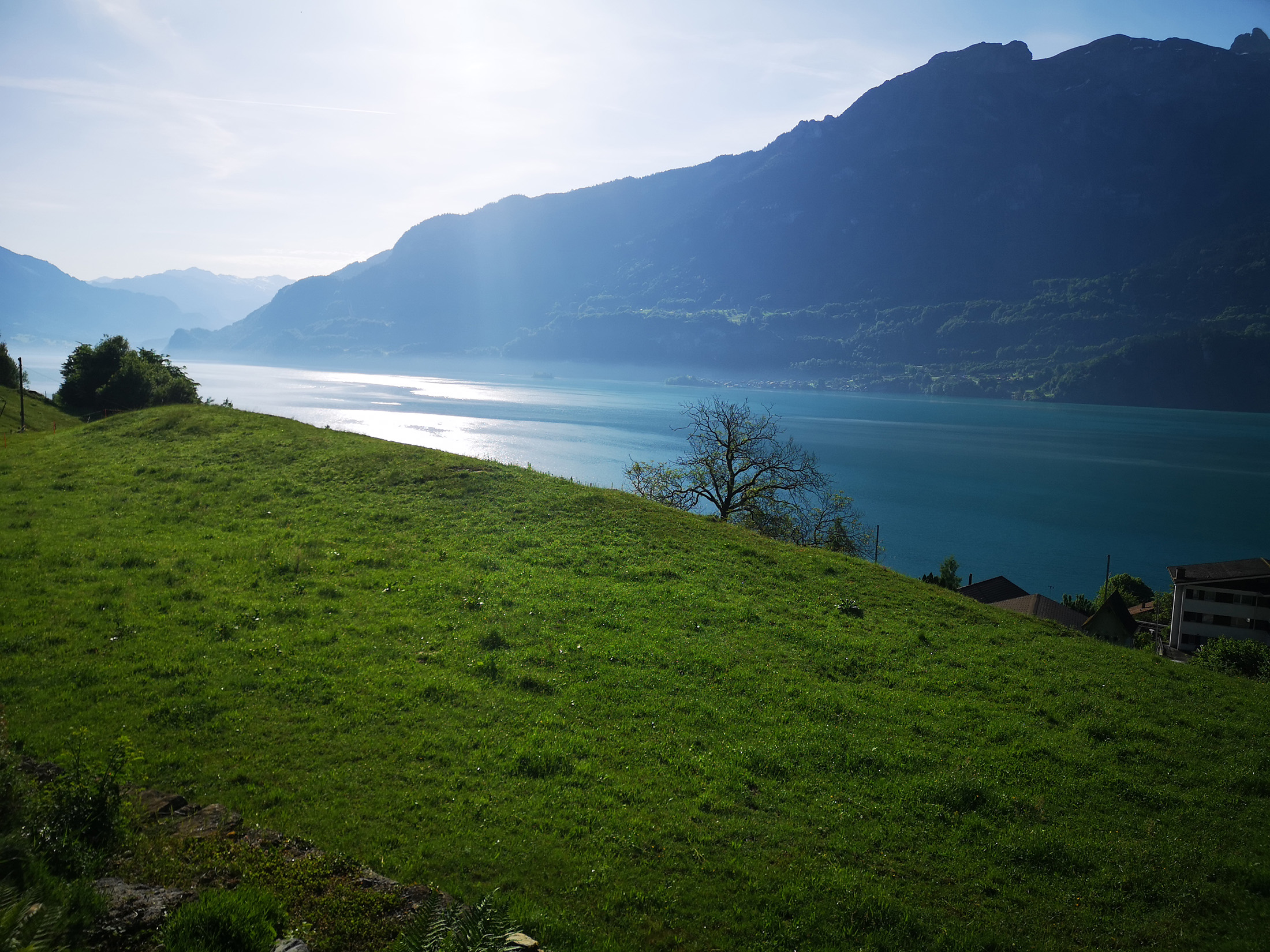 Das Berner Oberland – mehr als ein Ausflugsziel - GPI Testverfahren Niederried